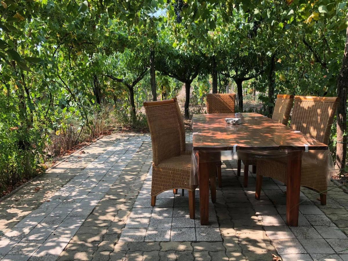 Szendergo - Apartman Hajos Pincefalu Exterior photo
